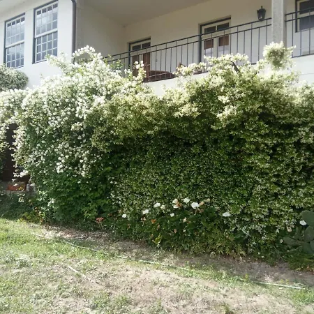 Quinta Do Arieiro * Arouca